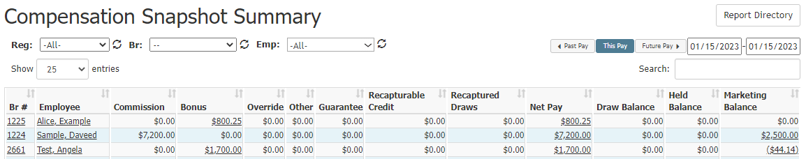 Compensation Snapshot Summary report with example data. Columns are described below.
