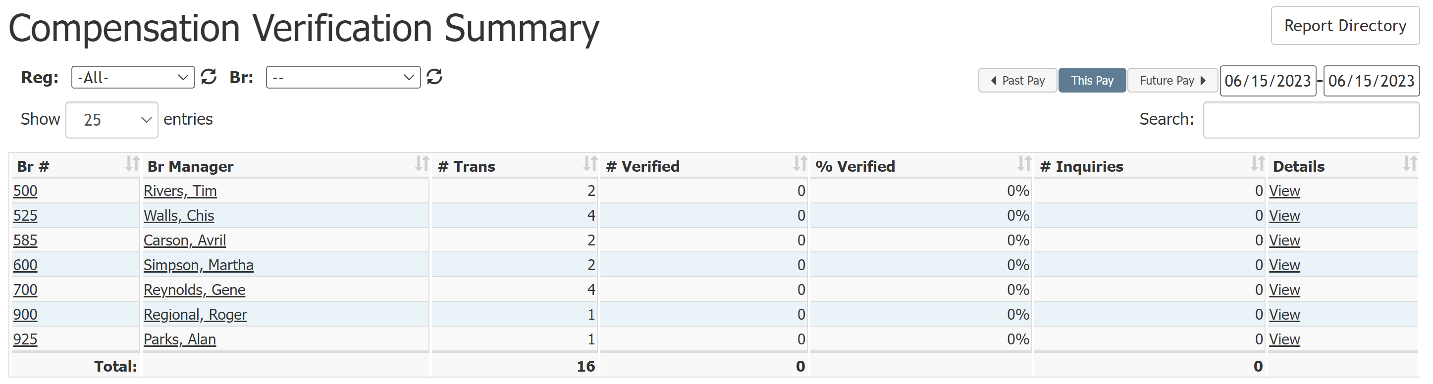 Compensation Verification Summary report with example data