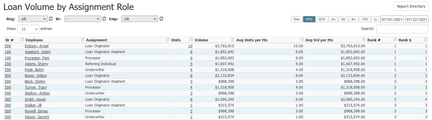 Loan Volume by Assignment Rol report with example data. Column descriptions are below.