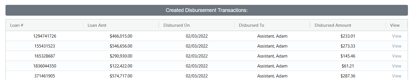 Created Disbursement Transactions section of the Manual Disbursement tool. Columns are described below.