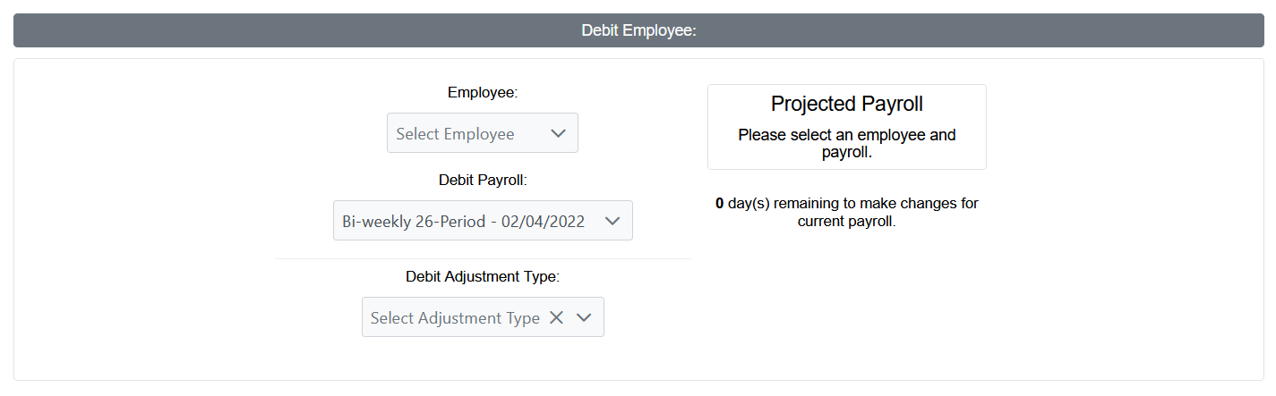 Debit Employee section of the Manual Disbursement Tool. Items within are described below.