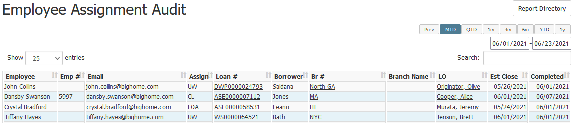 Employee Assignment Audit Report with example data