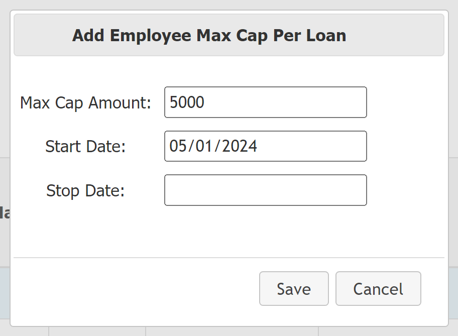 Window for adding an employee level max cap. Includes example data.