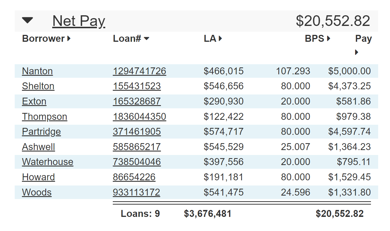 Net Pay section of the Compensation Snapshot with example data.