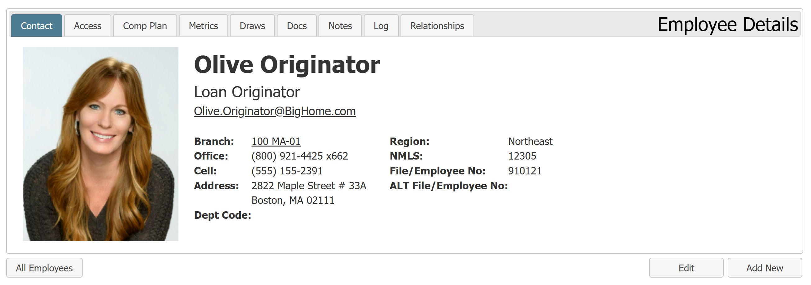 Employee Details - Contact tab. Description of contents is below.