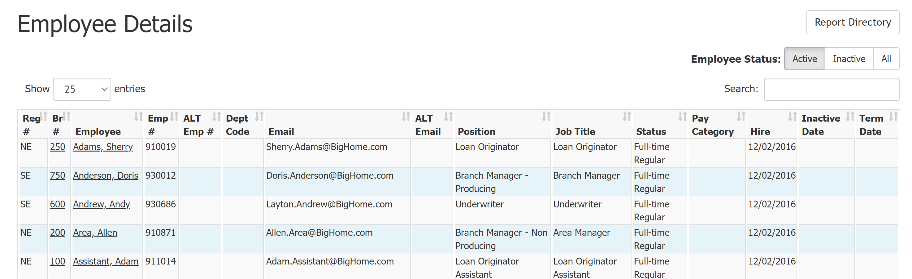 Employee Details Report with example data. Columns are described below