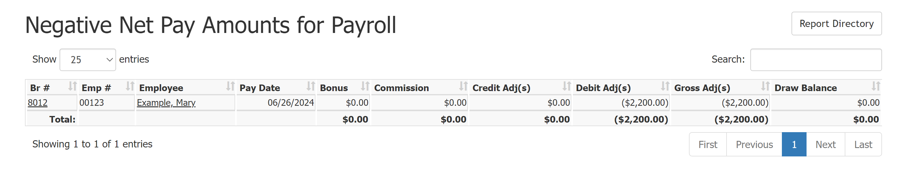 Negative Net Pay Amounts for Payroll Report showing example data. Columns are described below.