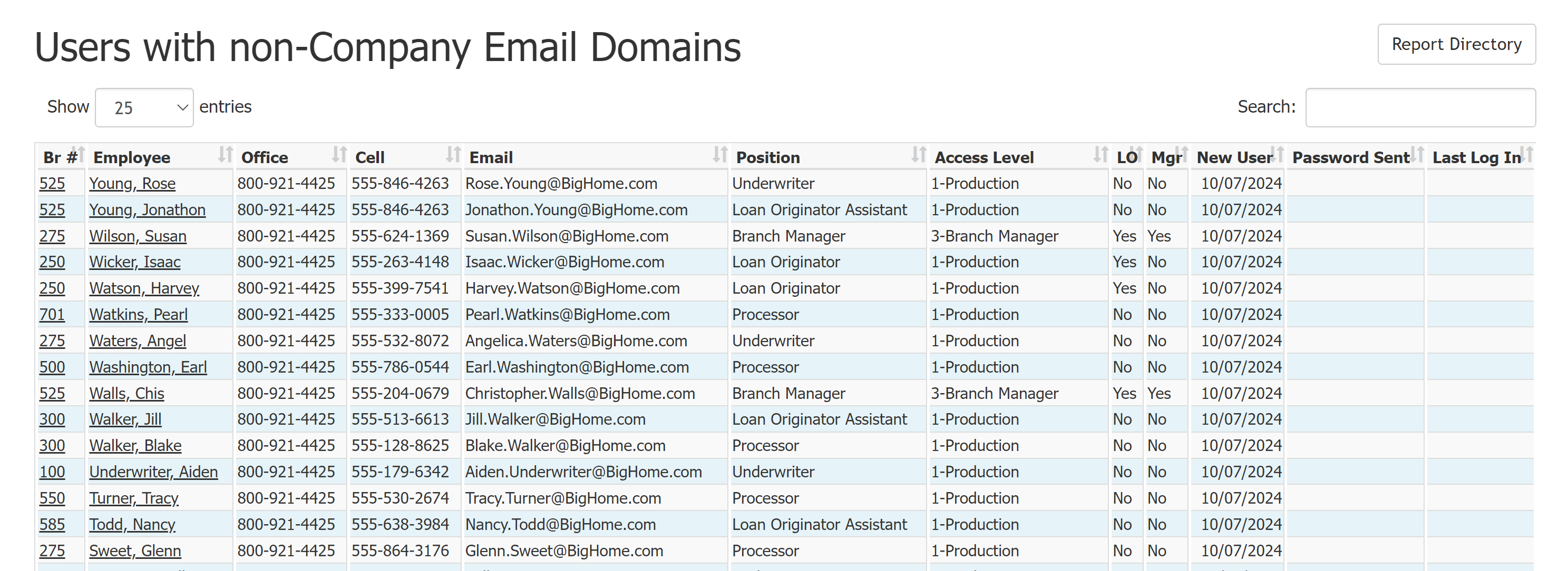 Users with non-Company Email Domains Report with example data. The columns are described below.